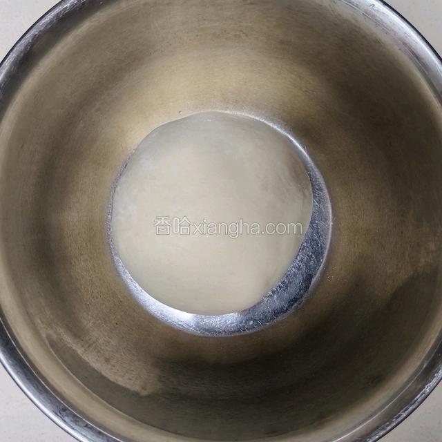 放入发酵盆发酵至2~2.5倍大