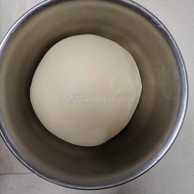 发酵好的面团