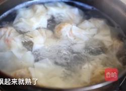 加拿大北极虾鲜肉云吞的做法图解5