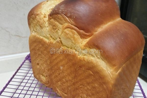 北海道巨蛋吐司（百分百中种)