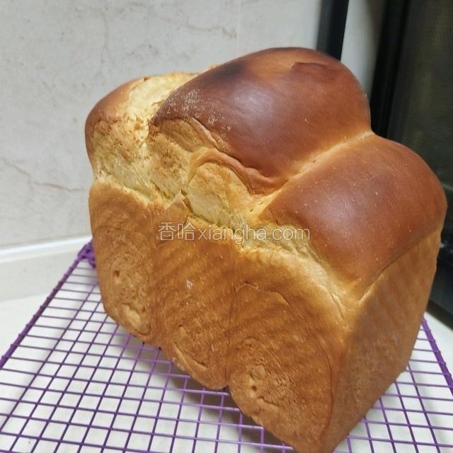 北海道巨蛋吐司（百分百中种)