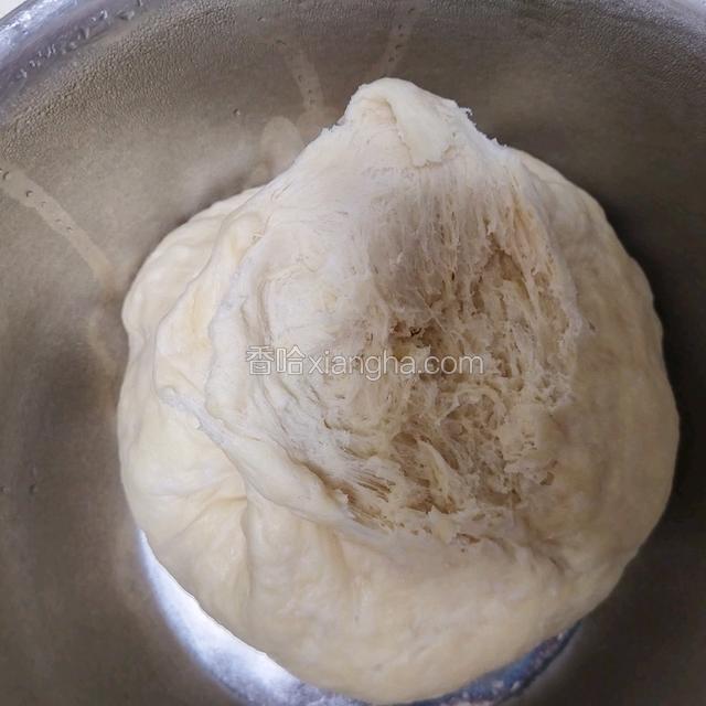 发酵好的中种状态