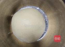 北海道巨蛋吐司(百分百中种)的做法图解8