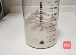 蜂蜜脆皮小面包(28方盘波兰种)的做法图解2