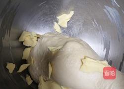 蜂蜜脆皮小面包(28方盘波兰种)的做法图解6