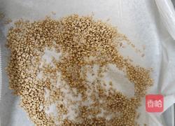 蜂蜜脆皮小面包(28方盘波兰种)的做法图解12