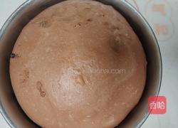 （波兰种）可可淡奶吐司(2个450g)的做法图解10