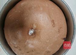 (波兰种)可可淡奶吐司(2个450g)的做法图解11