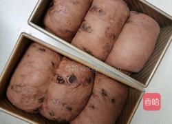 (波兰种)可可淡奶吐司(2个450g)的做法图解21