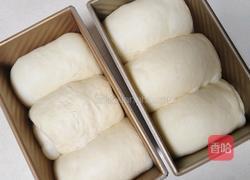 巴斯克吐司(2个450g)的做法图解15