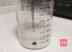 白吐司(波兰种)最适合做三明治的吐司的做法图解2