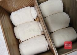 白吐司(波兰种)最适合做三明治的吐司的做法图解15