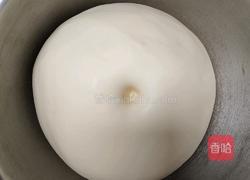 (烫种)鲜奶吐司(2个450g)的做法图解8