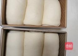 (烫种)鲜奶吐司(2个450g)的做法图解18