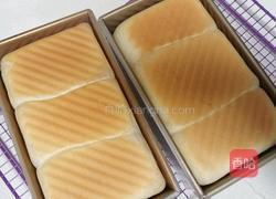 （烫种）鲜奶吐司（2个450g）的做法图解20