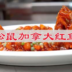 松鼠加拿大红鱼的做法[图]