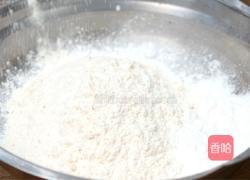 松鼠加拿大红鱼的做法图解7