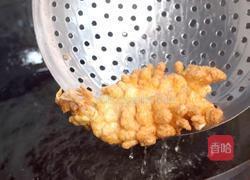 松鼠加拿大红鱼的做法图解10