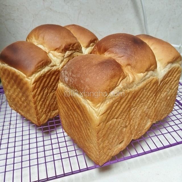 酸奶吐司（波兰种）2个450g吐司