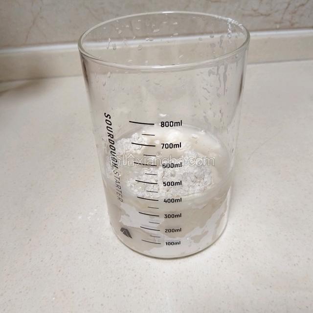 把波兰种的食材倒入培养皿