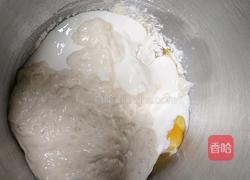 酸奶吐司（波兰种）2个450g吐司的做法图解5