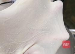 酸奶吐司（波兰种）2个450g吐司的做法图解7