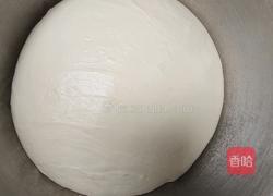 酸奶吐司（波兰种）2个450g吐司的做法图解9