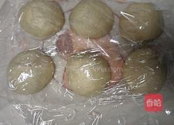 酸奶吐司(波兰种)2个450g吐司的做法图解12
