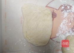 酸奶吐司（波兰种）2个450g吐司的做法图解13