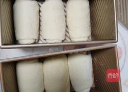酸奶吐司(波兰种)2个450g吐司的做法图解18