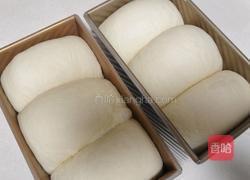 酸奶吐司(波兰种)2个450g吐司的做法图解19