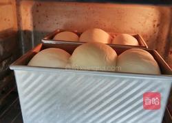 酸奶吐司(波兰种)2个450g吐司的做法图解20