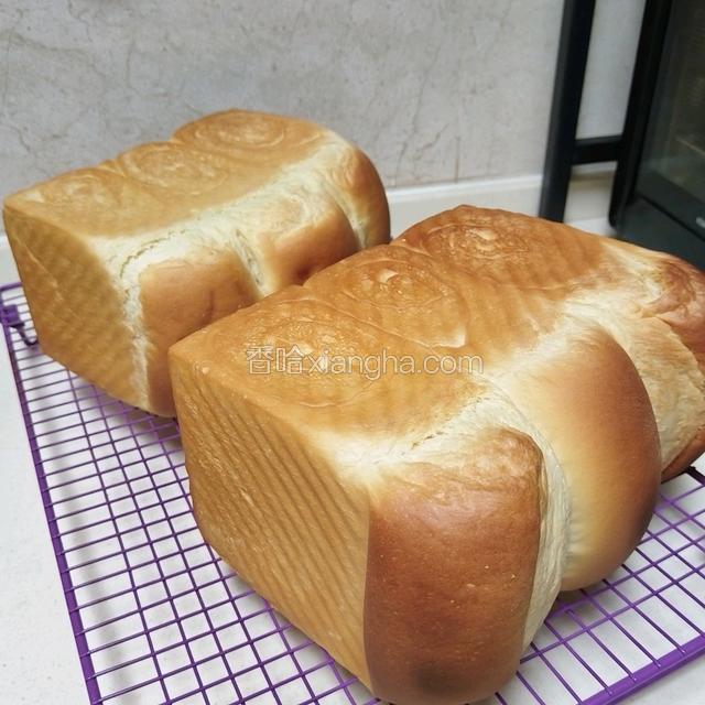 波兰种奶油吐司（2个450g吐司）
