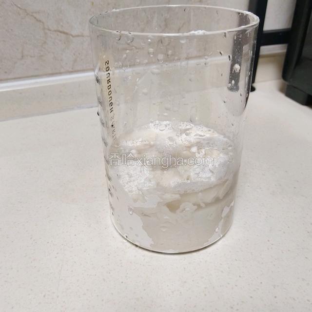 把波兰种的材料倒入发酵皿