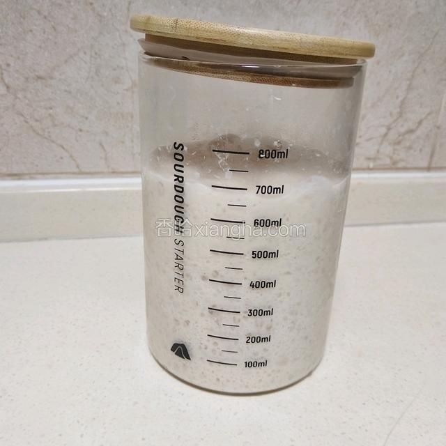 转入冰箱低温发酵12～16小时