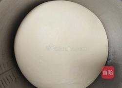 波兰种奶油吐司（2个450g吐司）的做法图解9