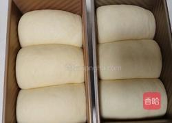 波兰种奶油吐司（2个450g吐司）的做法图解20