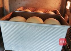 波兰种奶油吐司（2个450g吐司）的做法图解21