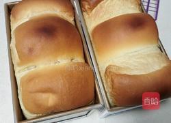 波兰种奶油吐司（2个450g吐司）的做法图解23