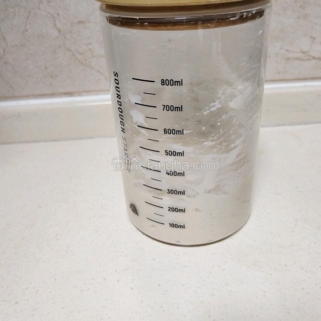 室温启动发酵半小时