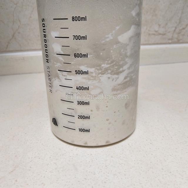 转冰箱低温发酵12～15小时