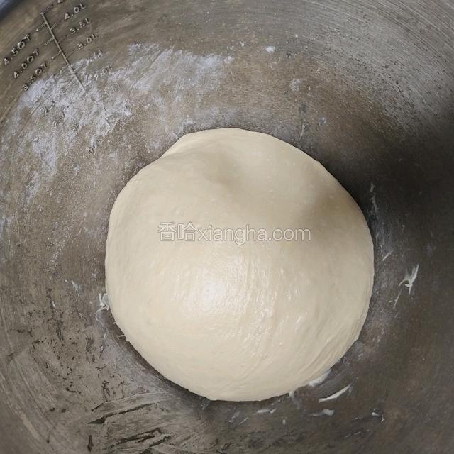 放入发酵盆发酵至2倍大