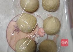 奶油吐司(波兰种 2个450g)的做法图解12