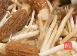 黑松露菌菇鸡肉煲的做法图解4