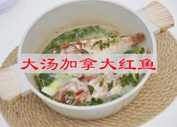 大汤加拿大红鱼