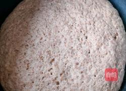 全麦肉包(减脂版)的做法图解6