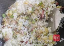 蚕豆焖饭（春饭）的做法图解9