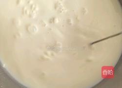 希腊酸奶的做法图解3