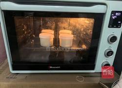 希腊酸奶的做法图解6