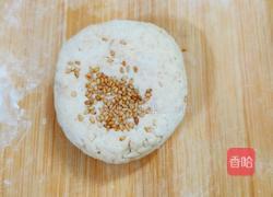 燕麦口袋饼(减脂版)的做法图解12